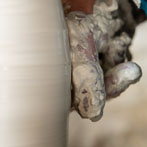 Daniel Boyle at work in his pottery 2019